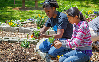 Youth mentoring in garden